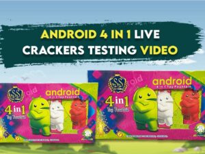 Best Online Sivakasi Crackers Store with Free Door Delivery